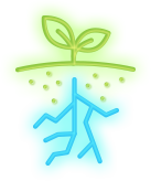Strategy Icon